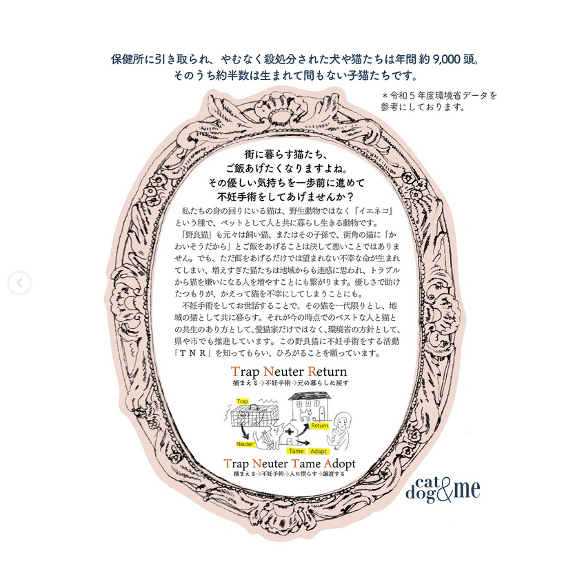 Screenshot 2026-02-16 at 15-17-55 Instagram